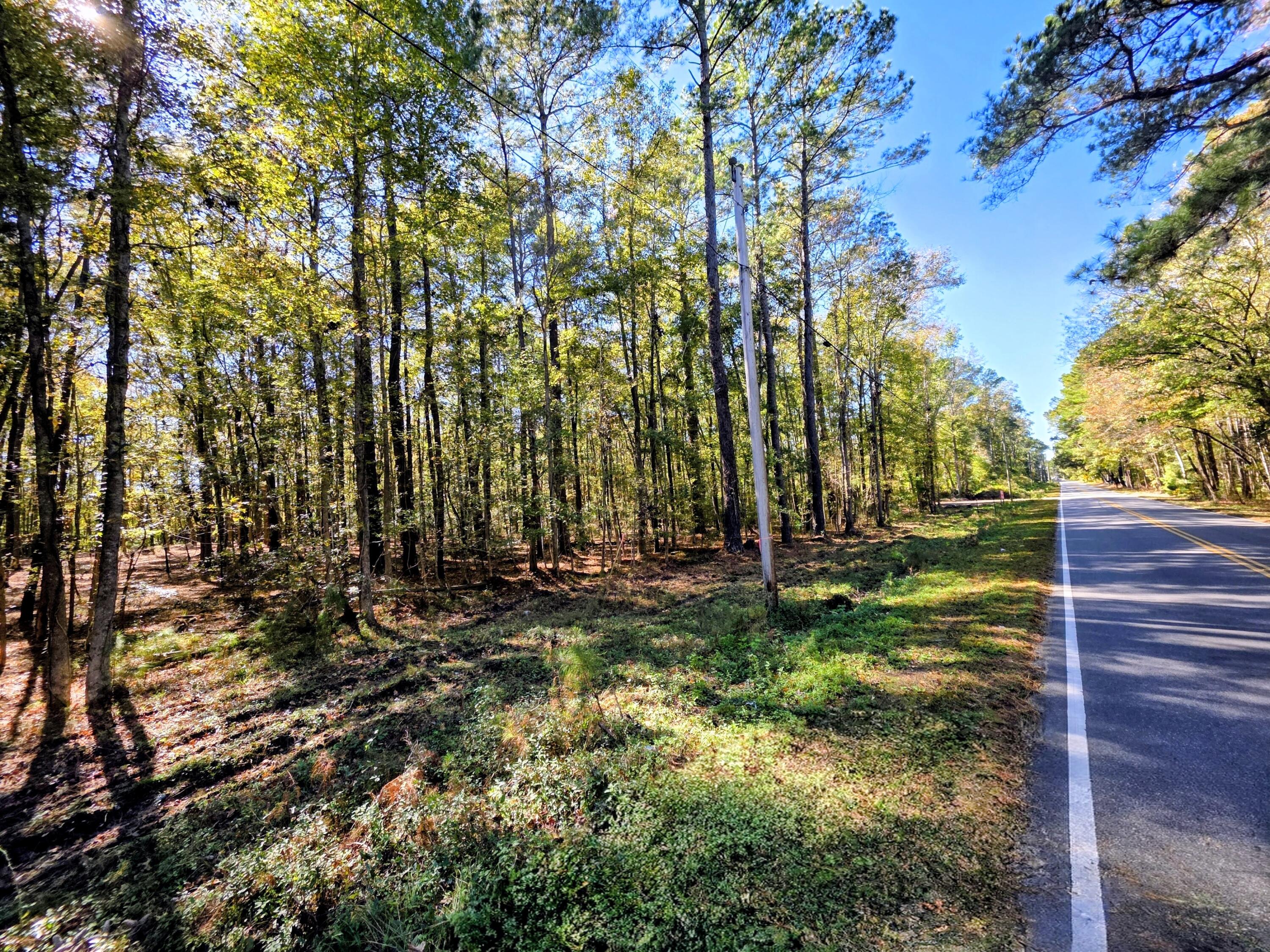 3047 Fickling Hill Road, Unit C1 Johns Island, SC 29455 - Photo 7 of 17 822' on Fickling Hill Rd