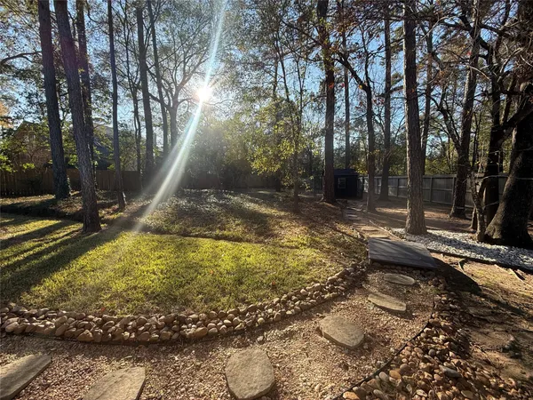 a view of a backyard with trees