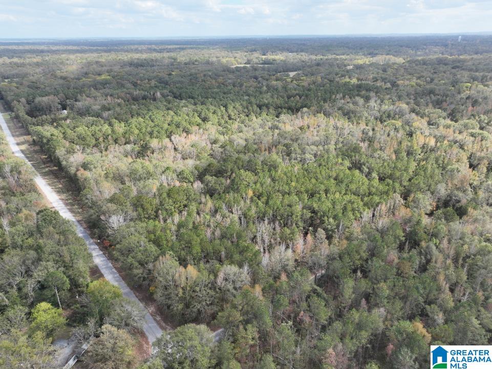 119 Plantation Road, Unit 1 Hope Hull, AL 36043 - Photo 3 of 35