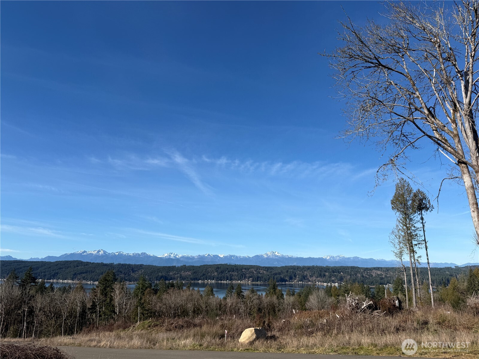 a view of a lake and mountain in the back
