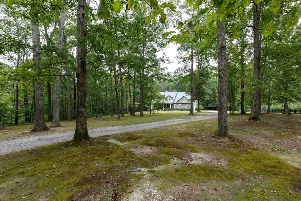 5660 Pinewood Road Franklin, TN 37064 - Photo 44 of 45 a green field with lots of trees