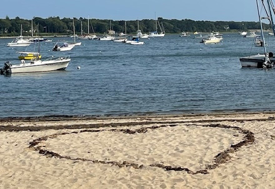 43 Poponessett Road Barnstable, MA 02635 - Photo 13 of 29 a view of swimming pool with a yard