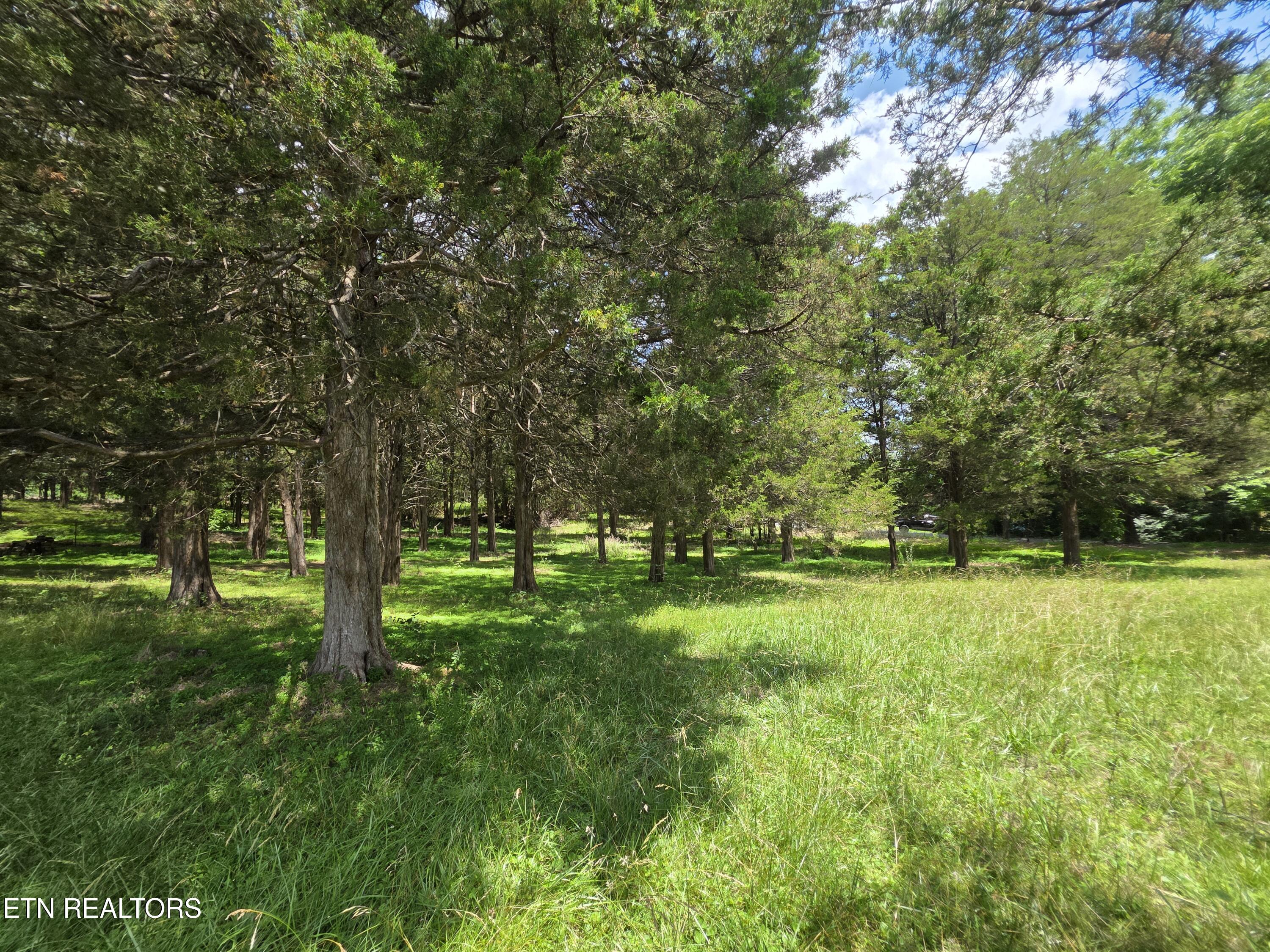 8050 Lett Road Corryton, TN 37721 - Photo 25 of 30 Beautiful