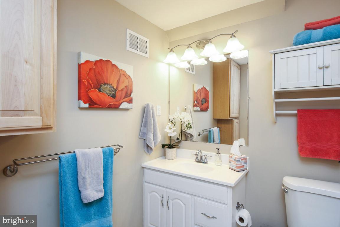 8141 Stone Ridge Drive Frederick, MD 21702 - Photo 27 of 33 Full basement bath