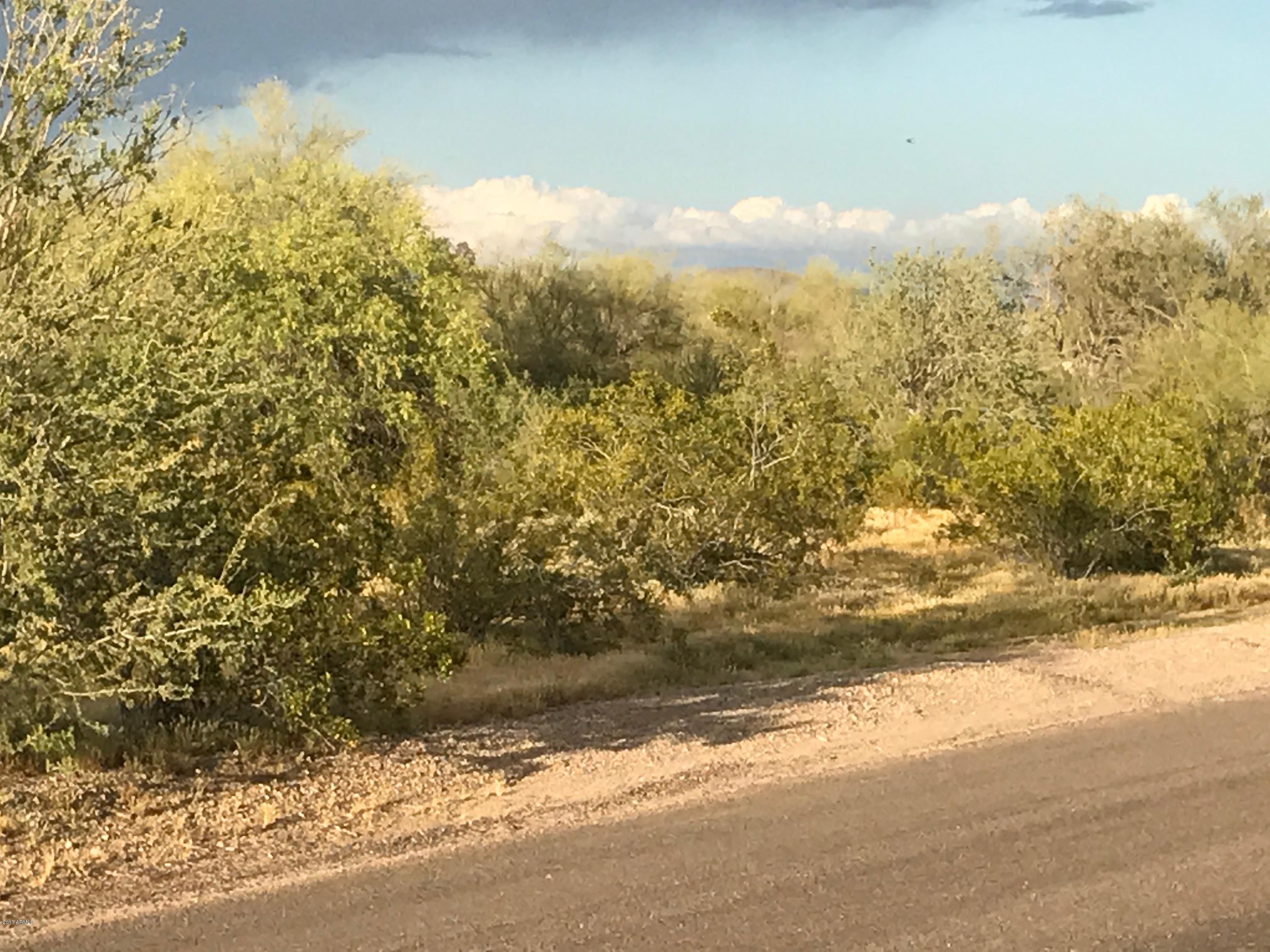 16300 West Peak View Road Surprise, AZ 85387 - Photo 11 of 13 File_003 (1)
