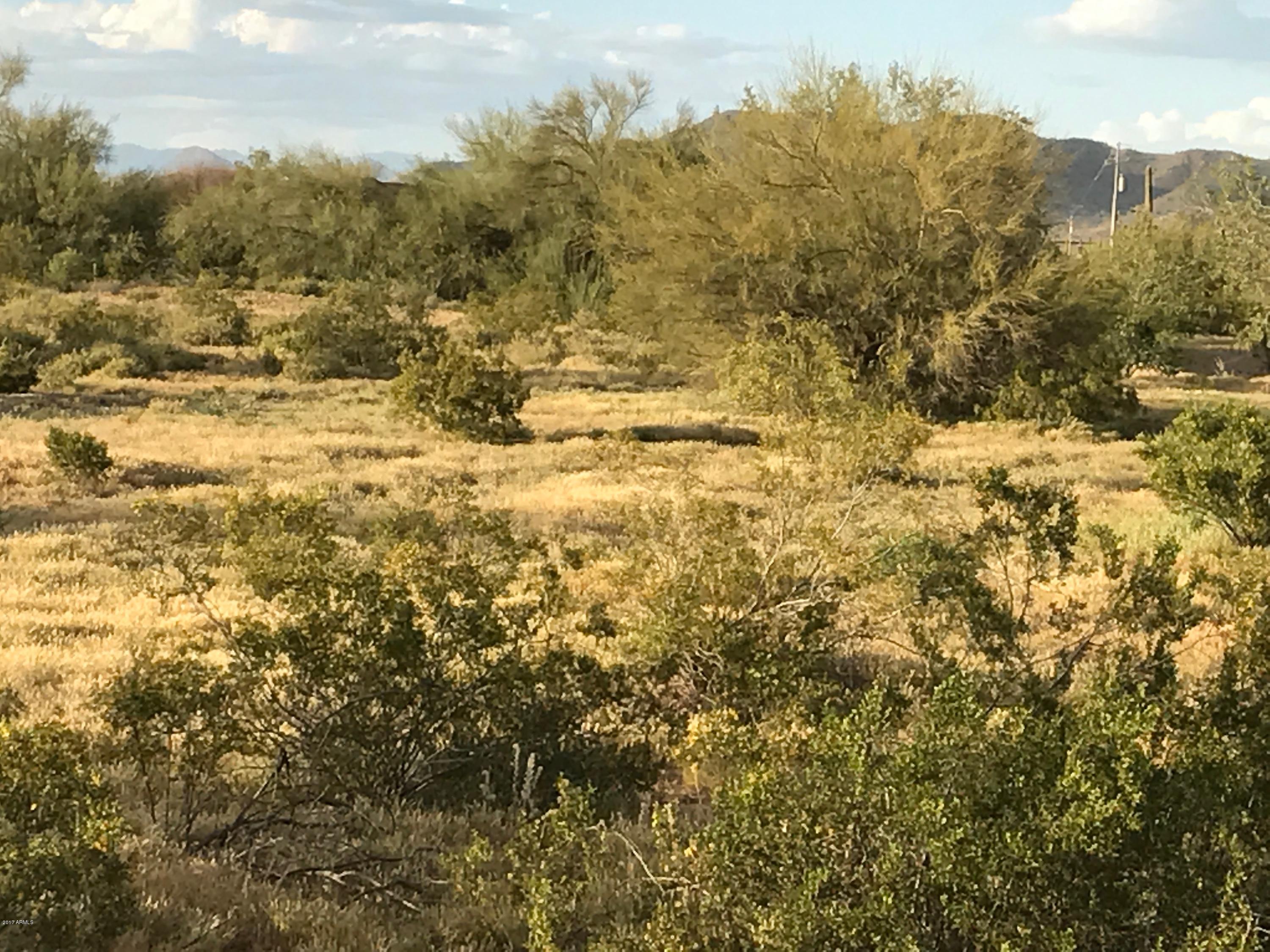 16300 West Peak View Road Surprise, AZ 85387 - Photo 8 of 13 File_001