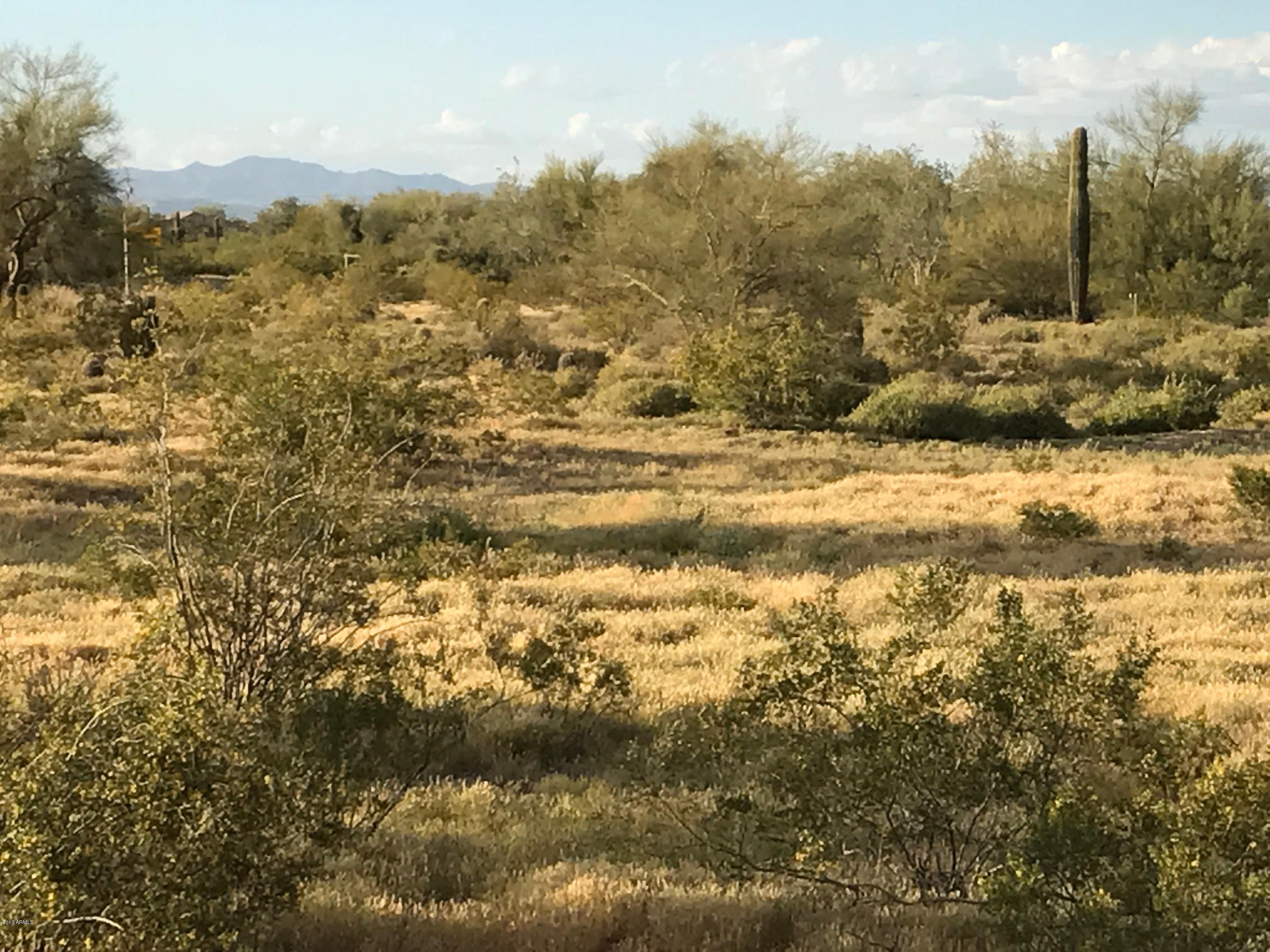 16300 West Peak View Road Surprise, AZ 85387 - Photo 10 of 13 File_002