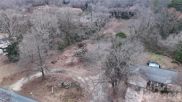 a view of a dry yard with trees