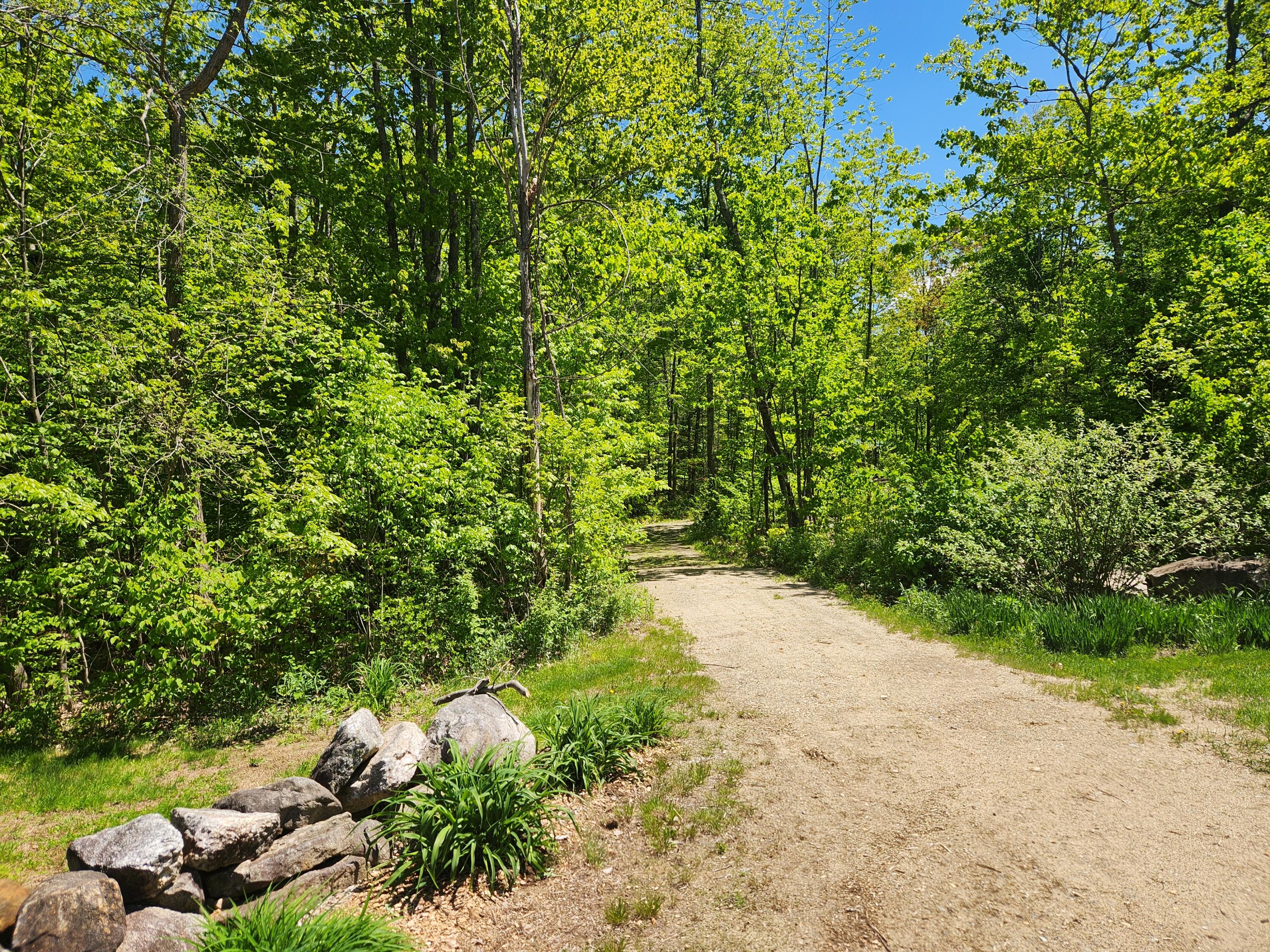 286 Staples Hill Road Canton, ME 04221 - Photo 118 of 118 20260526_120246