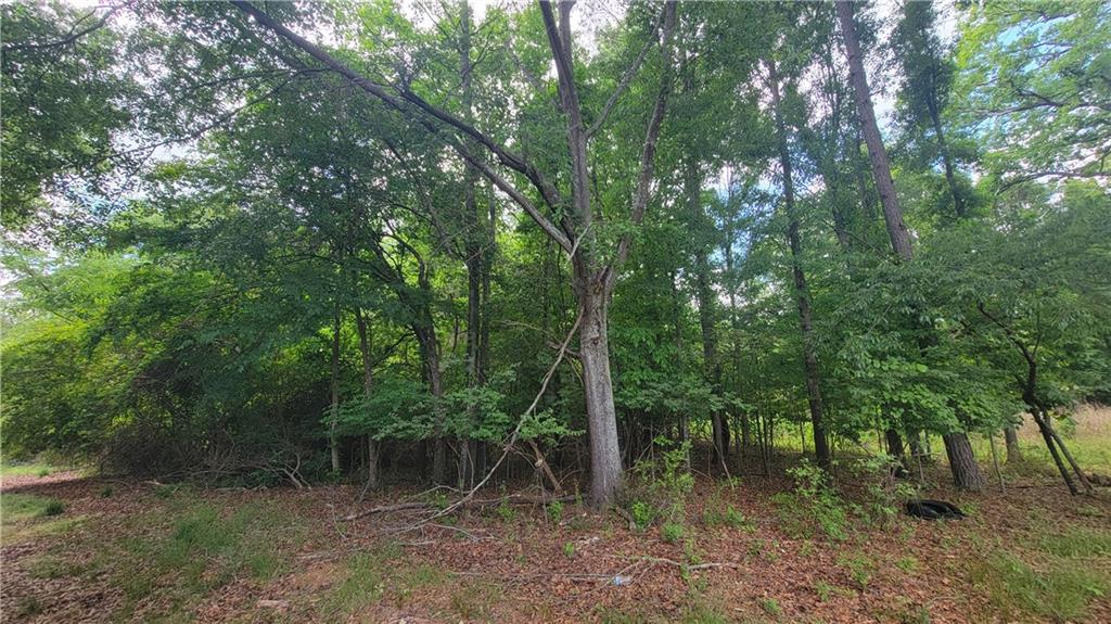 0 Lester Road Athens, GA 30607 - Photo 6 of 16