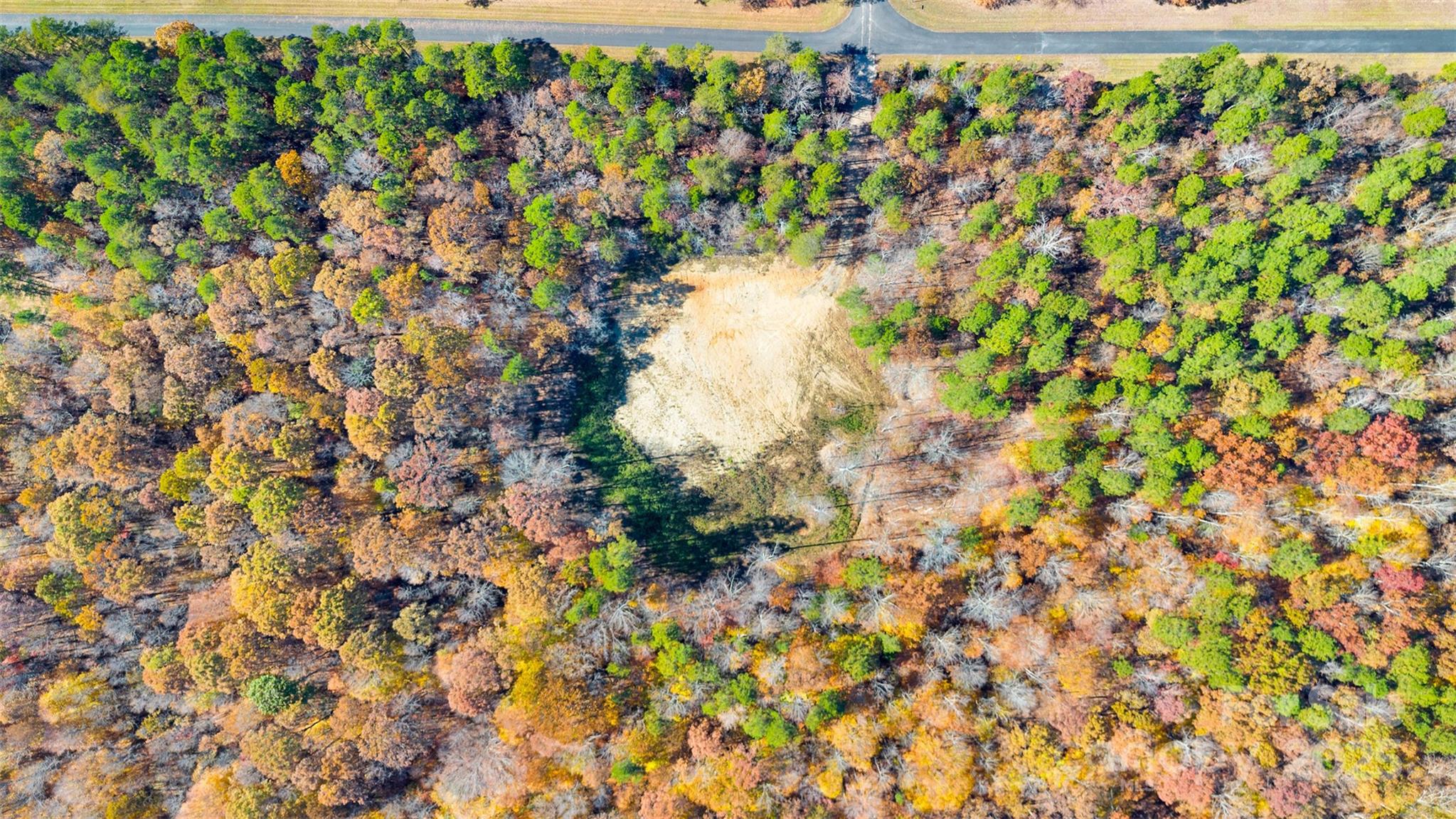 1470 Trotter Circle Mount Pleasant, NC 28124 - Photo 18 of 21