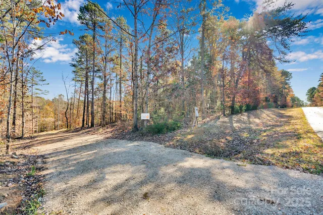 a view of a yard with a tree