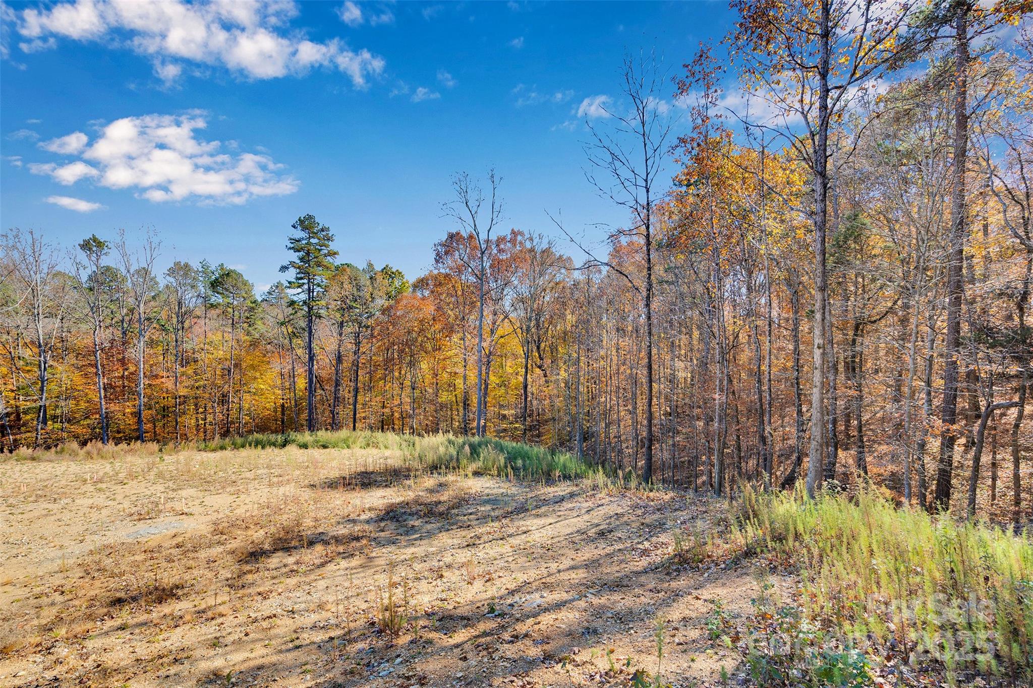 1470 Trotter Circle Mount Pleasant, NC 28124 - Photo 5 of 21 a view of dirt yard with a house in the background