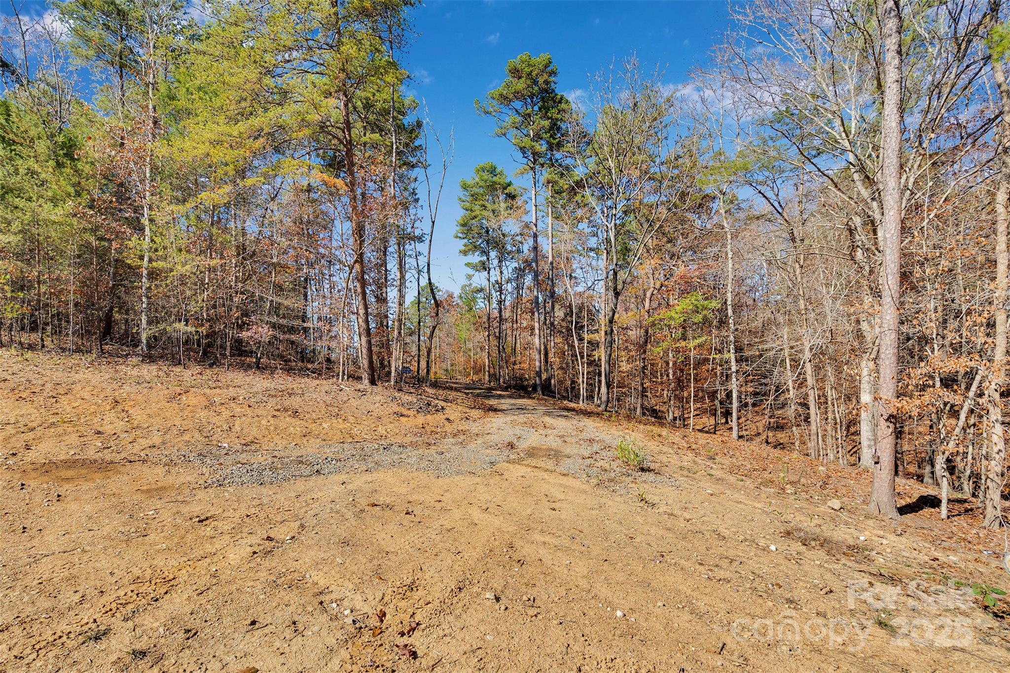 1470 Trotter Circle Mount Pleasant, NC 28124 - Photo 6 of 21