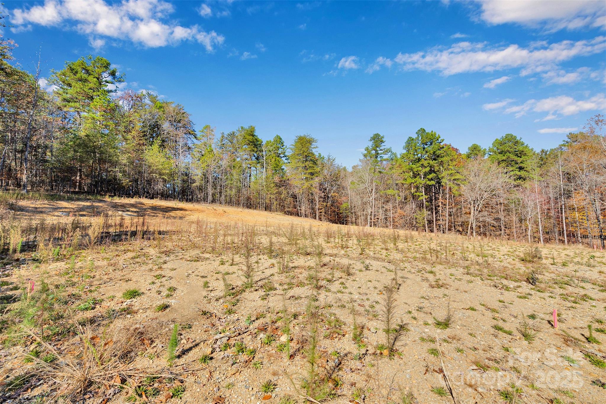 1470 Trotter Circle Mount Pleasant, NC 28124 - Photo 9 of 21 a view of a yard with trees and flowers