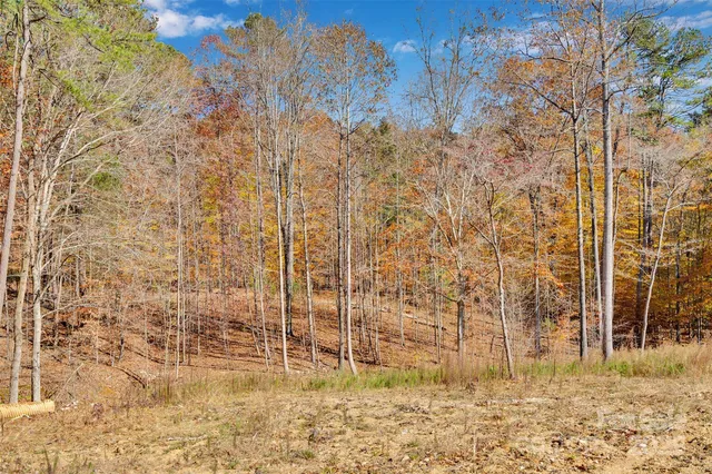 a view of a yard with trees and flowers