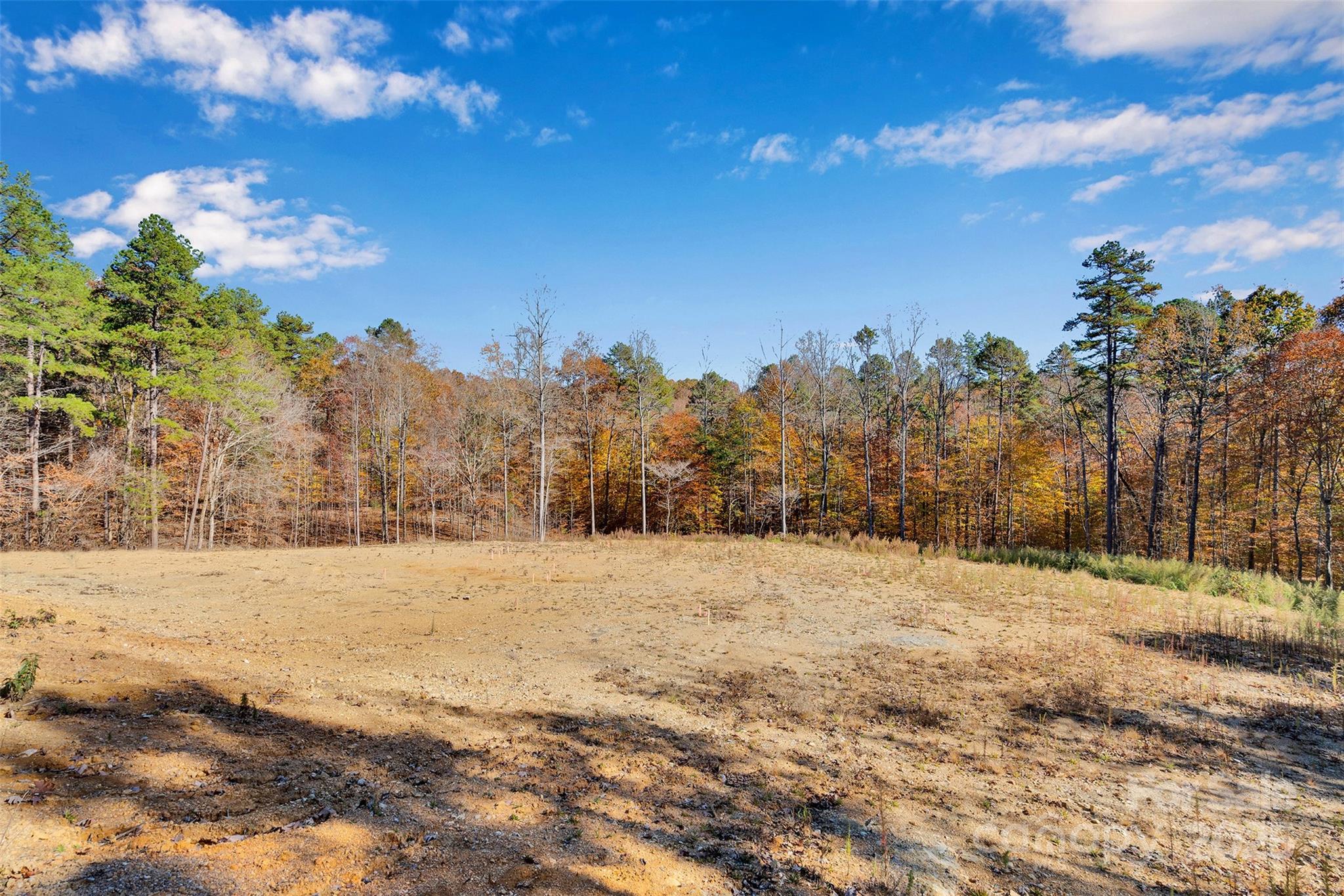 1470 Trotter Circle Mount Pleasant, NC 28124 - Photo 10 of 21 a view of dirt yard and covered with snow