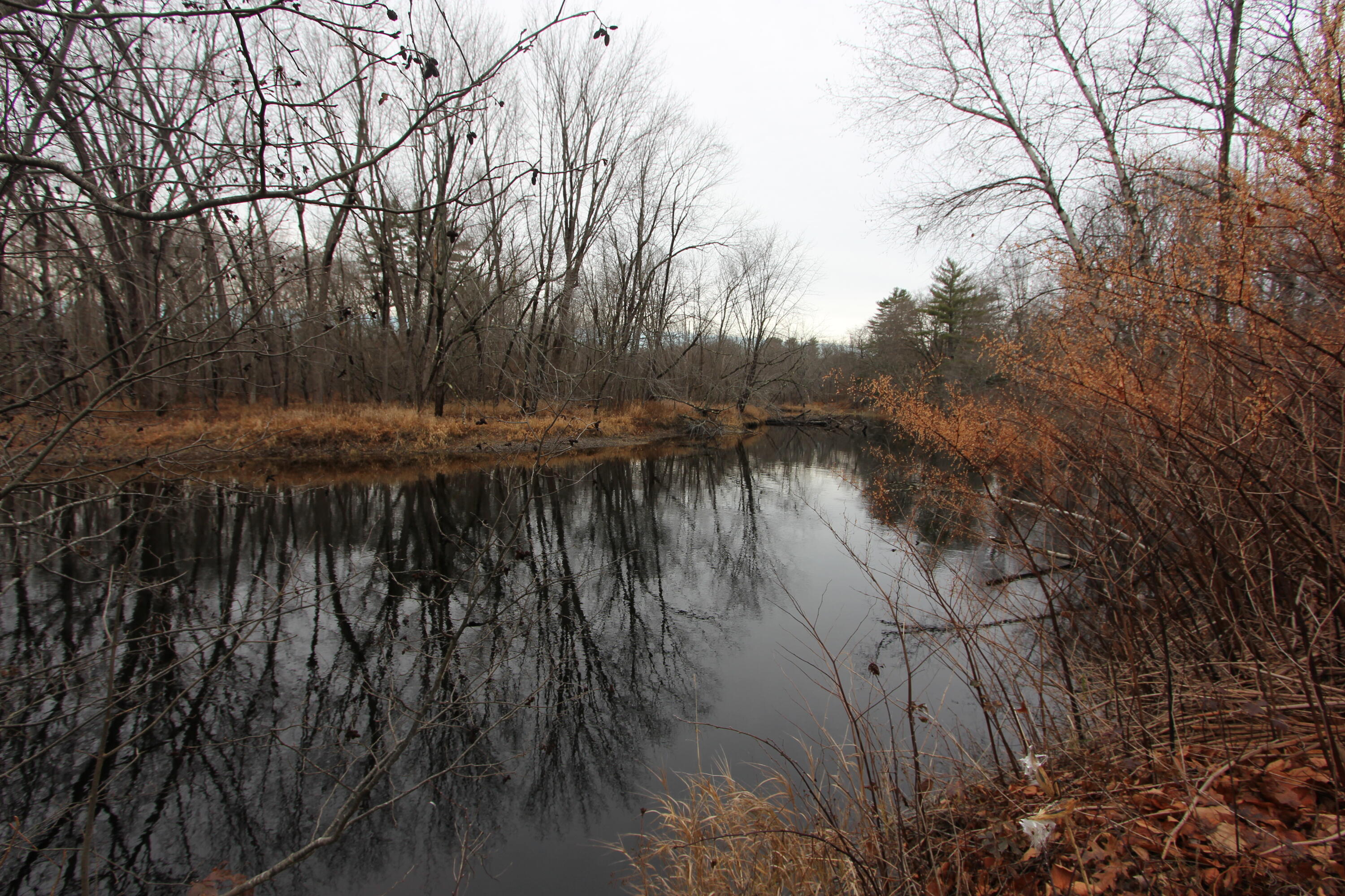 436 Pleasant Street Mechanic Falls, ME 04256 - Photo 57 of 58 IMG_9351