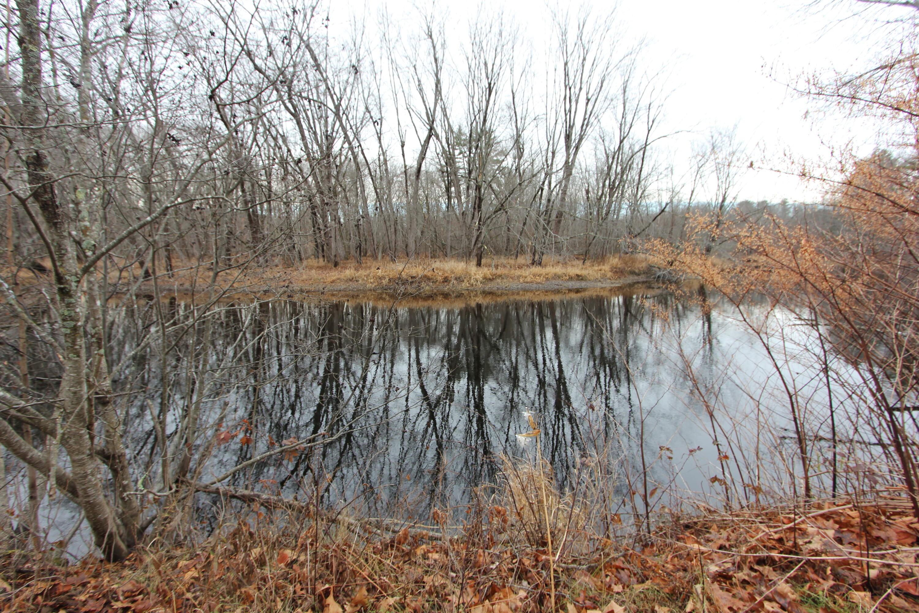 436 Pleasant Street Mechanic Falls, ME 04256 - Photo 58 of 58 IMG_9352
