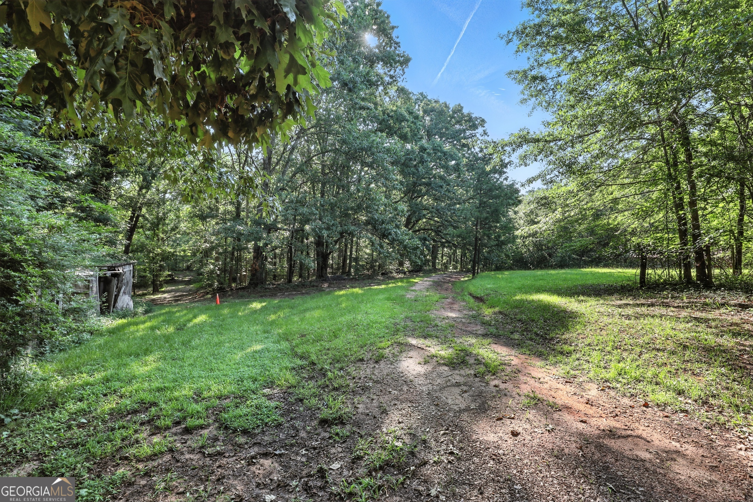 1592 Black Mountain Road Toccoa, GA 30577 - Photo 16 of 30 a view of a yard with a tree