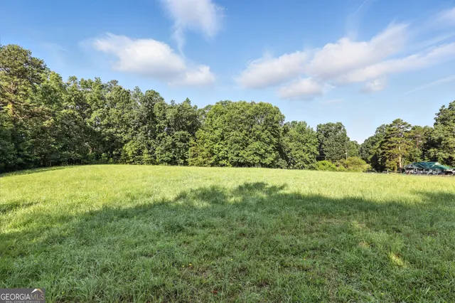 a view of yard with large trees