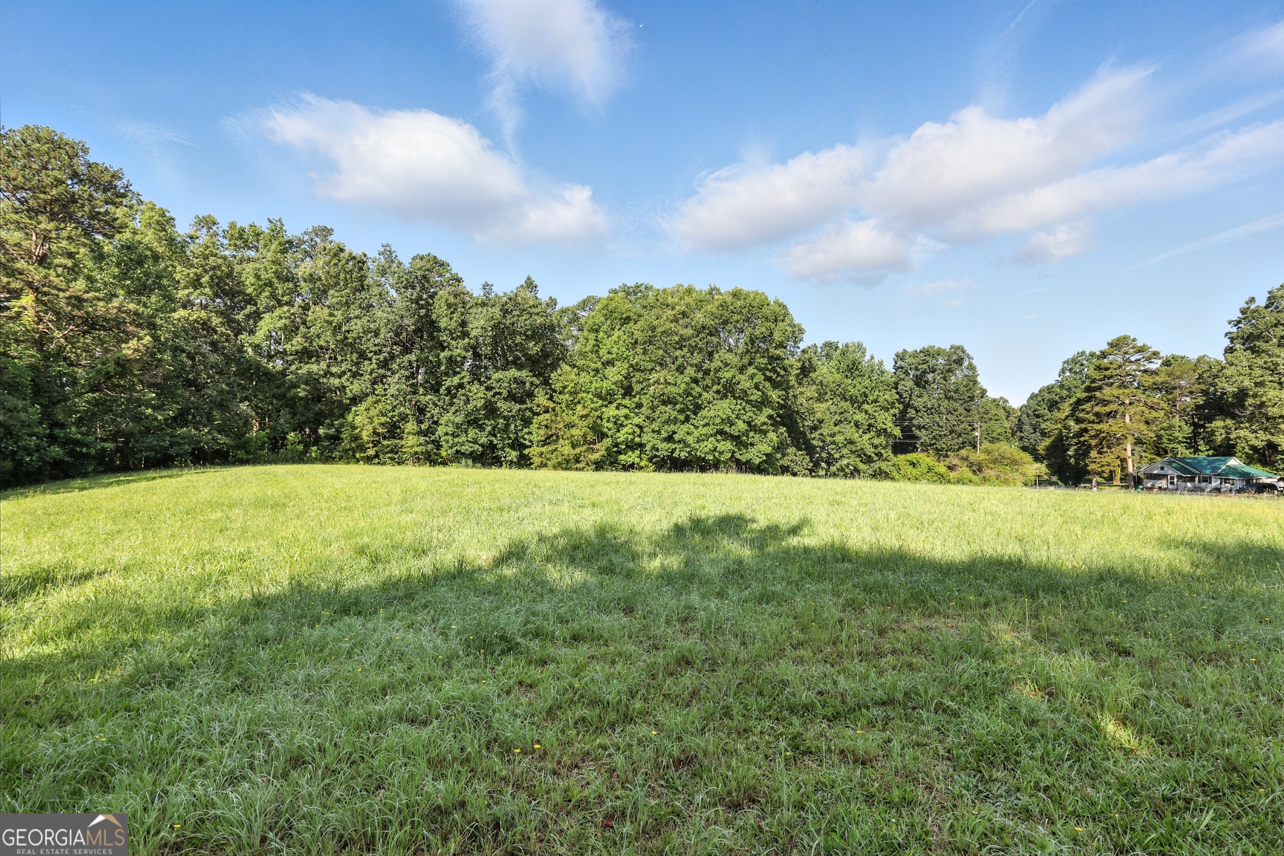 1592 Black Mountain Road Toccoa, GA 30577 - Photo 20 of 30 a view of yard with large trees