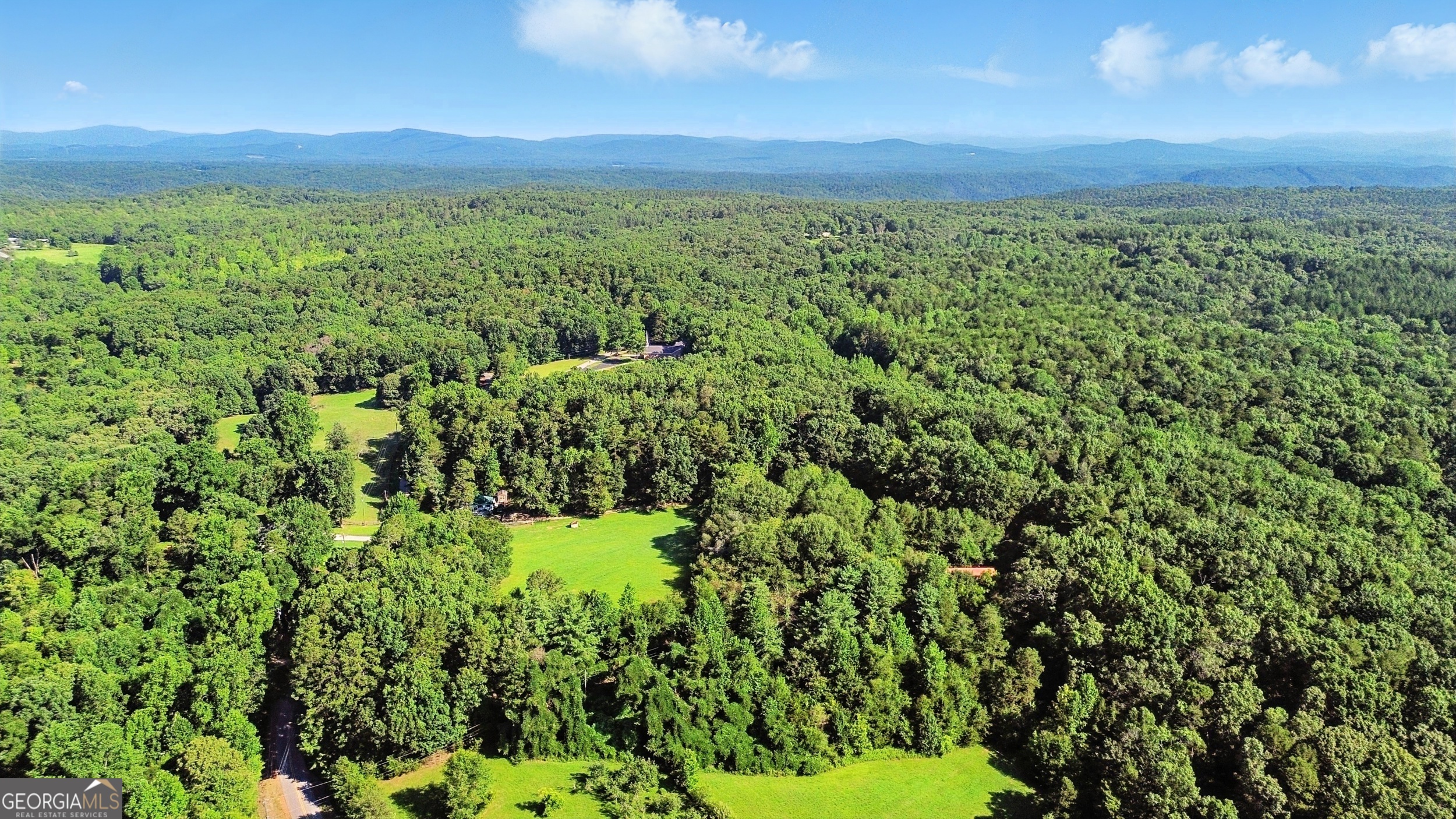 1592 Black Mountain Road Toccoa, GA 30577 - Photo 21 of 30 a view of a green field with lots of bushes