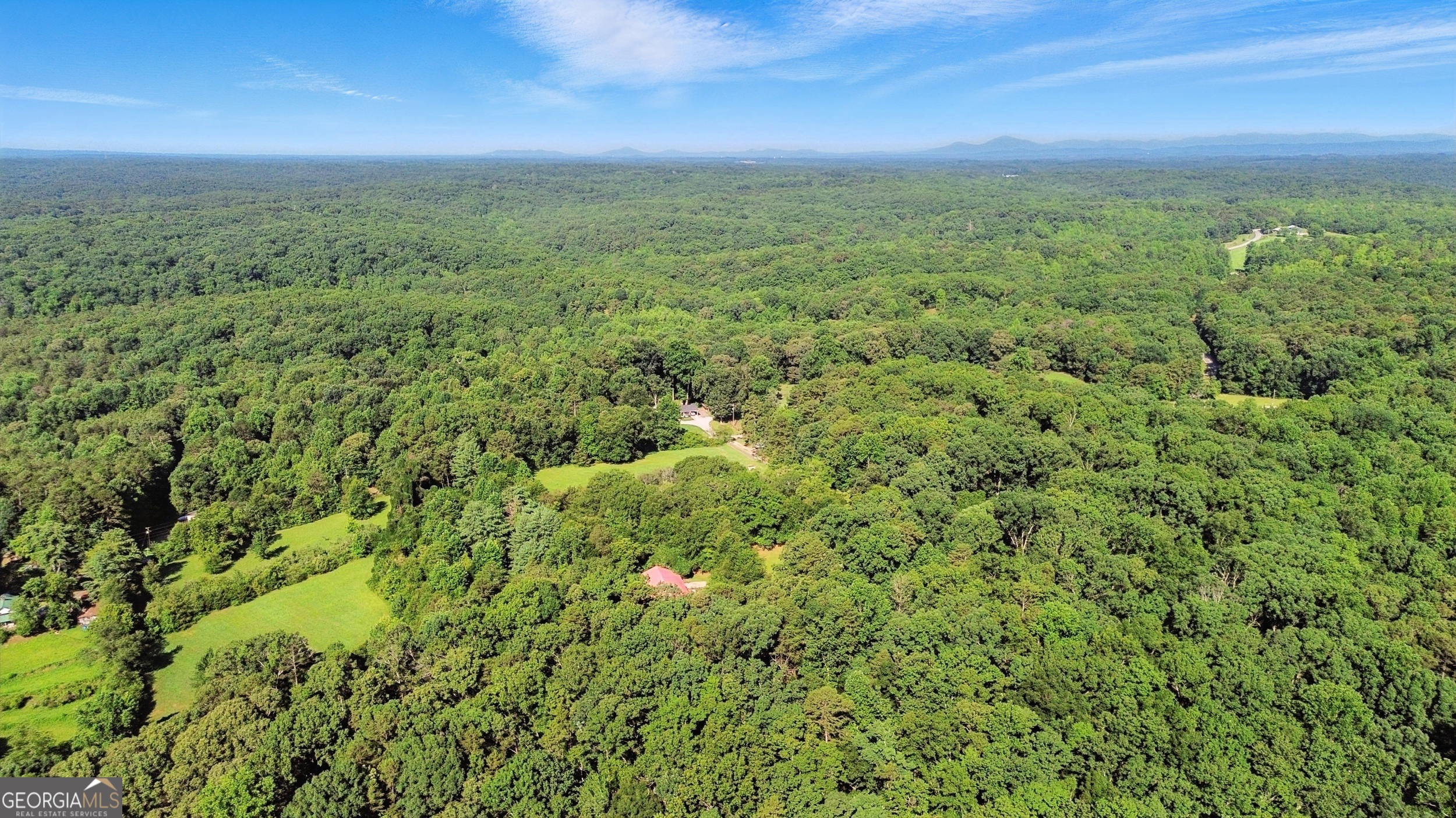 1592 Black Mountain Road Toccoa, GA 30577 - Photo 22 of 30 a view of a green field with lots of bushes