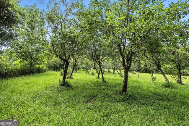 a view of an outdoor space with a lake view