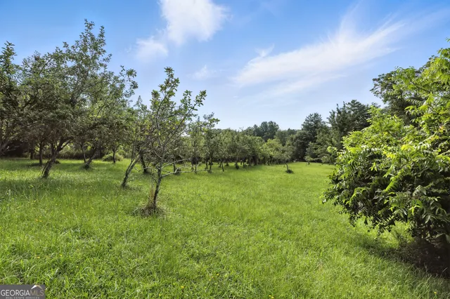a view of a back yard