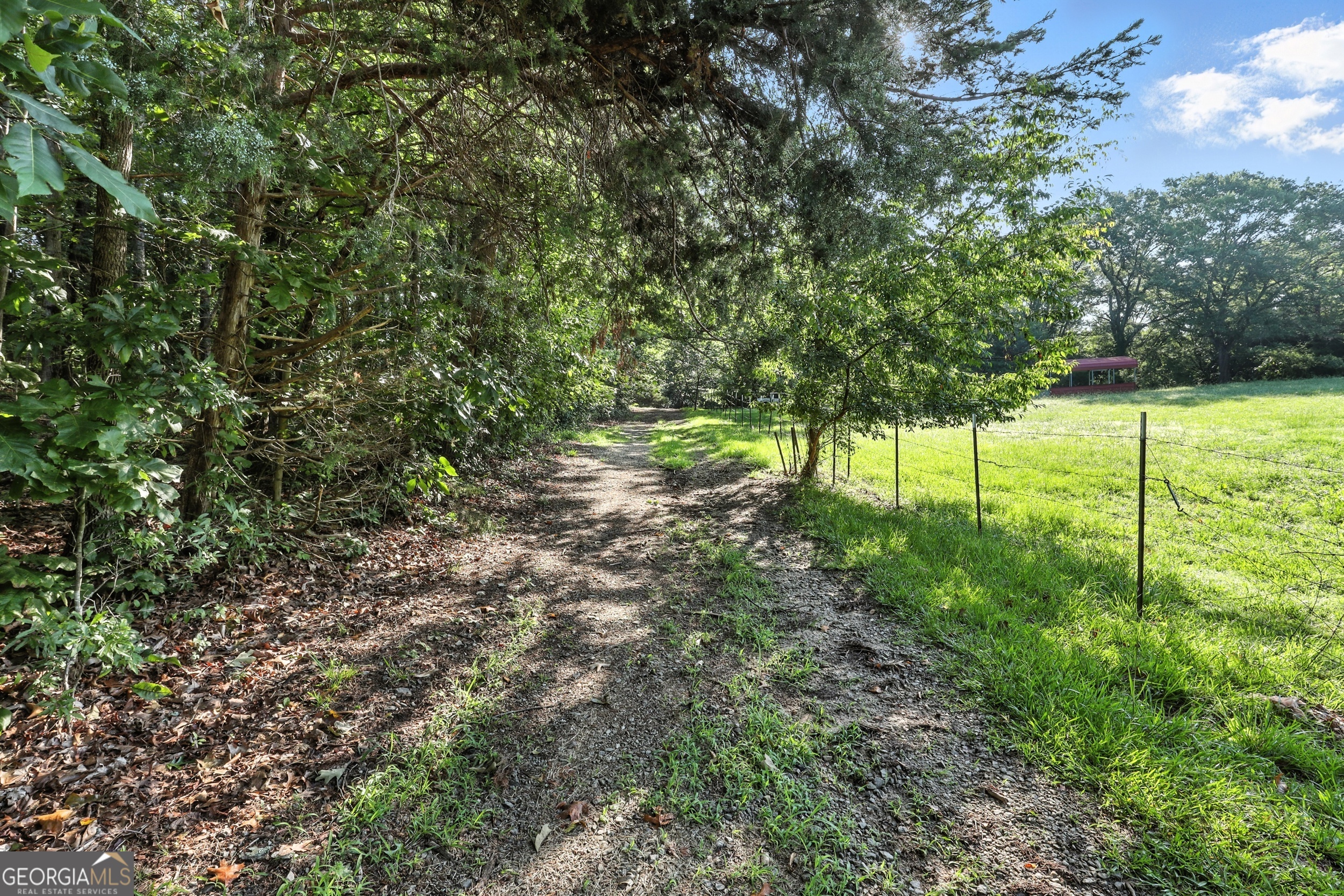 1592 Black Mountain Road Toccoa, GA 30577 - Photo 10 of 30 a view of yard with large trees