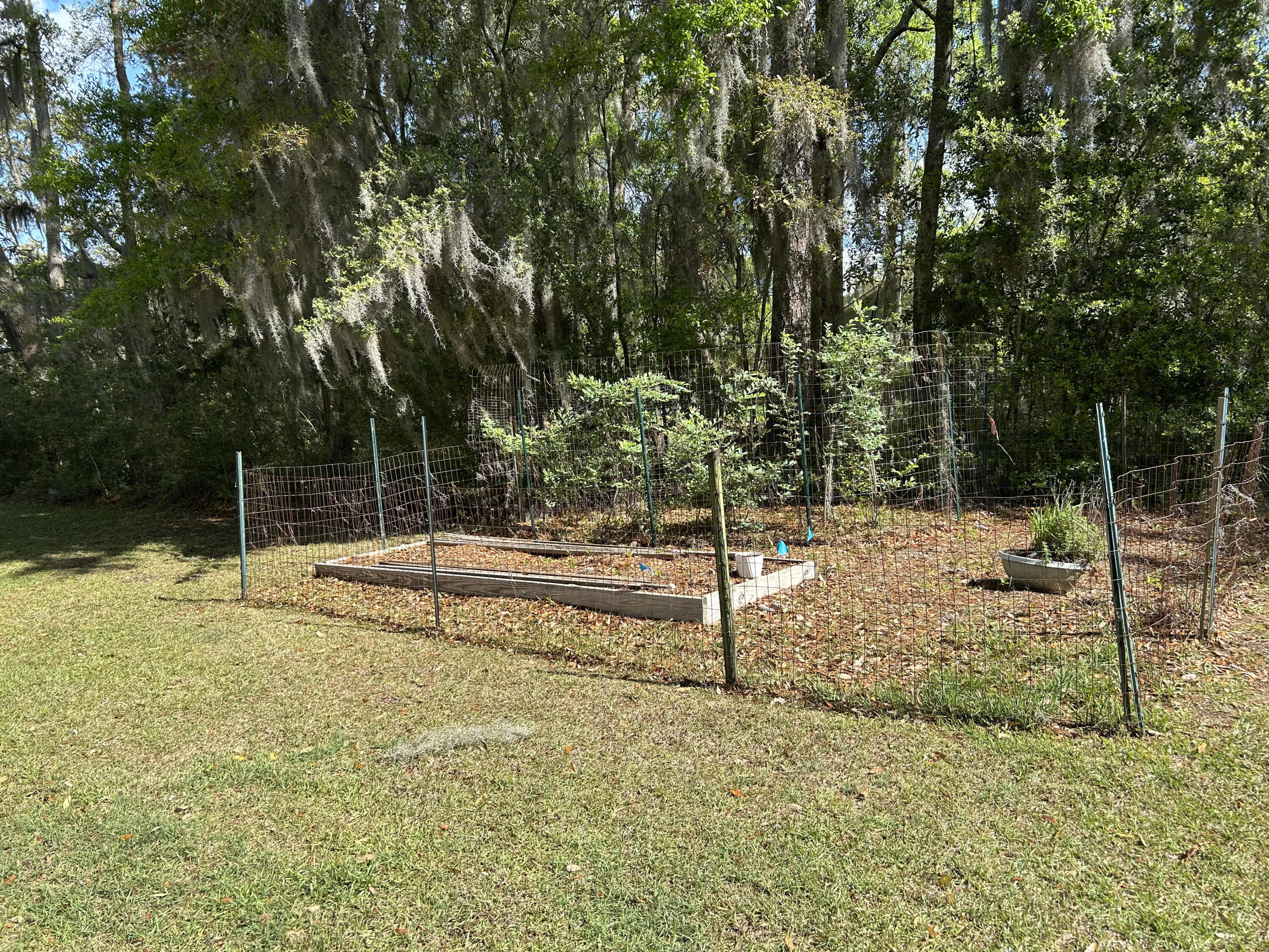 8374 Chisolm Plantation Road Edisto Island, SC 29438 - Photo 60 of 79 8374 Chisolm Plantation