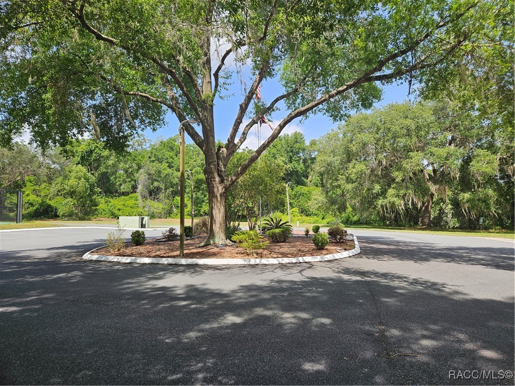 2828 East Chartwell Circle Hernando, FL 34442 - Photo 16 of 17