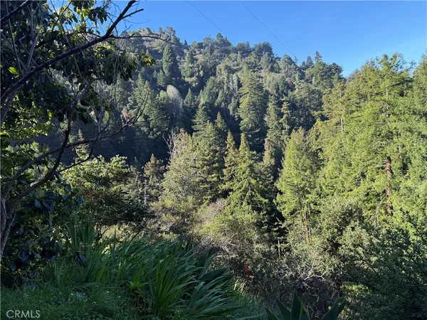 a view of a house with a lush green forest