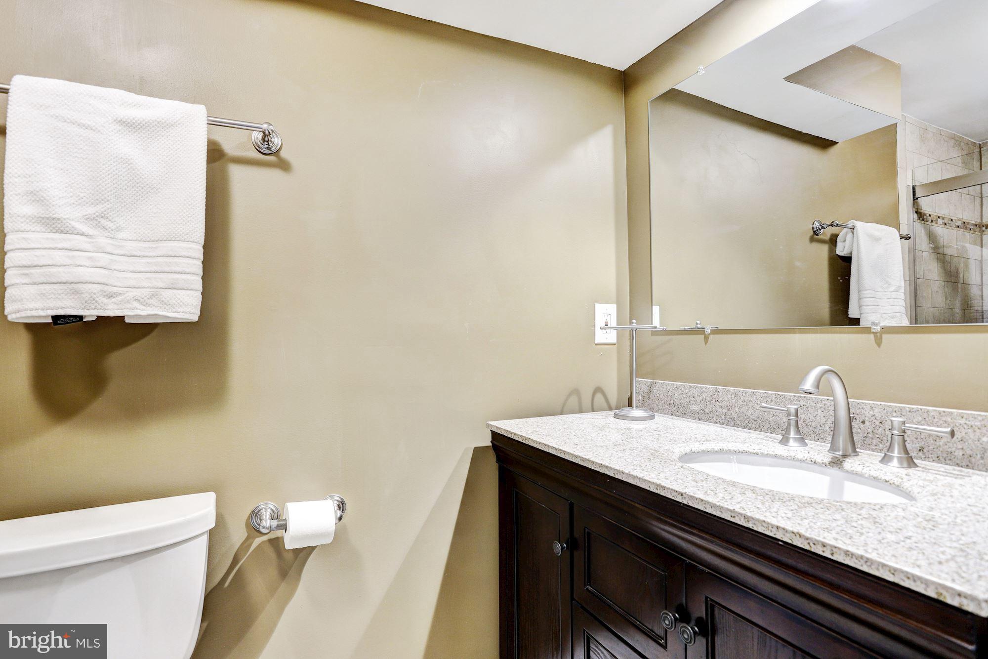 6282 Meadowcroft Road Eldersburg, MD 21784 - Photo 23 of 29 Lower Level Full Bath