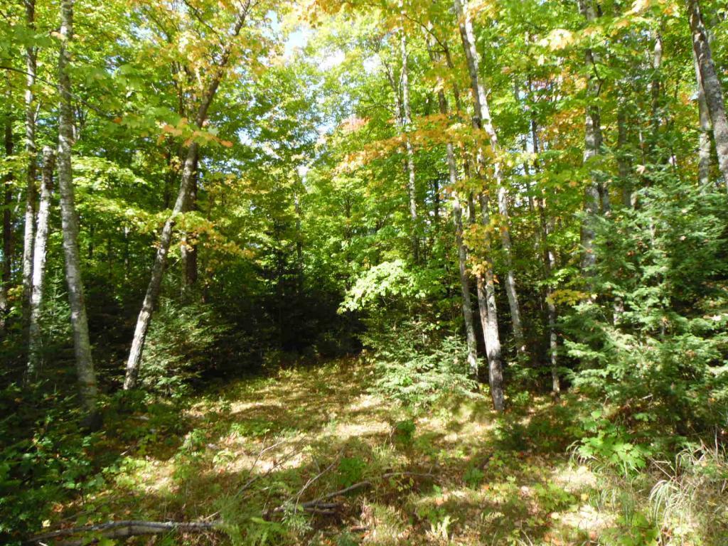 Lot 0 Pison Road Solon Springs, WI 54873 - Photo 1 of 1 Gallery Image 1