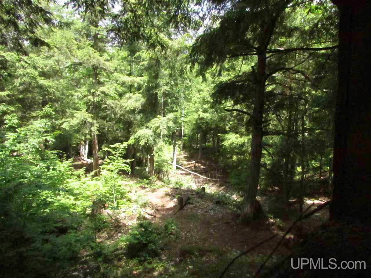 N12426 Driggs River Road Seney, MI 49883 - Photo 31 of 74 Gallery Image 31