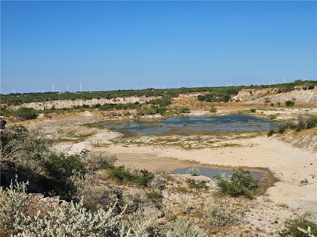 24024 441st Circle Mathis, TX 78368 - Photo 1 of 57 Gallery Image 1