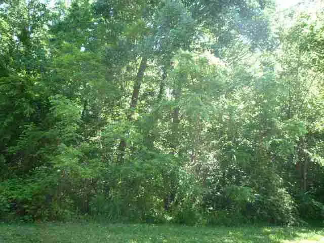 $50,000 | Lot 7 Lakewood, Vincennes, IN 47591