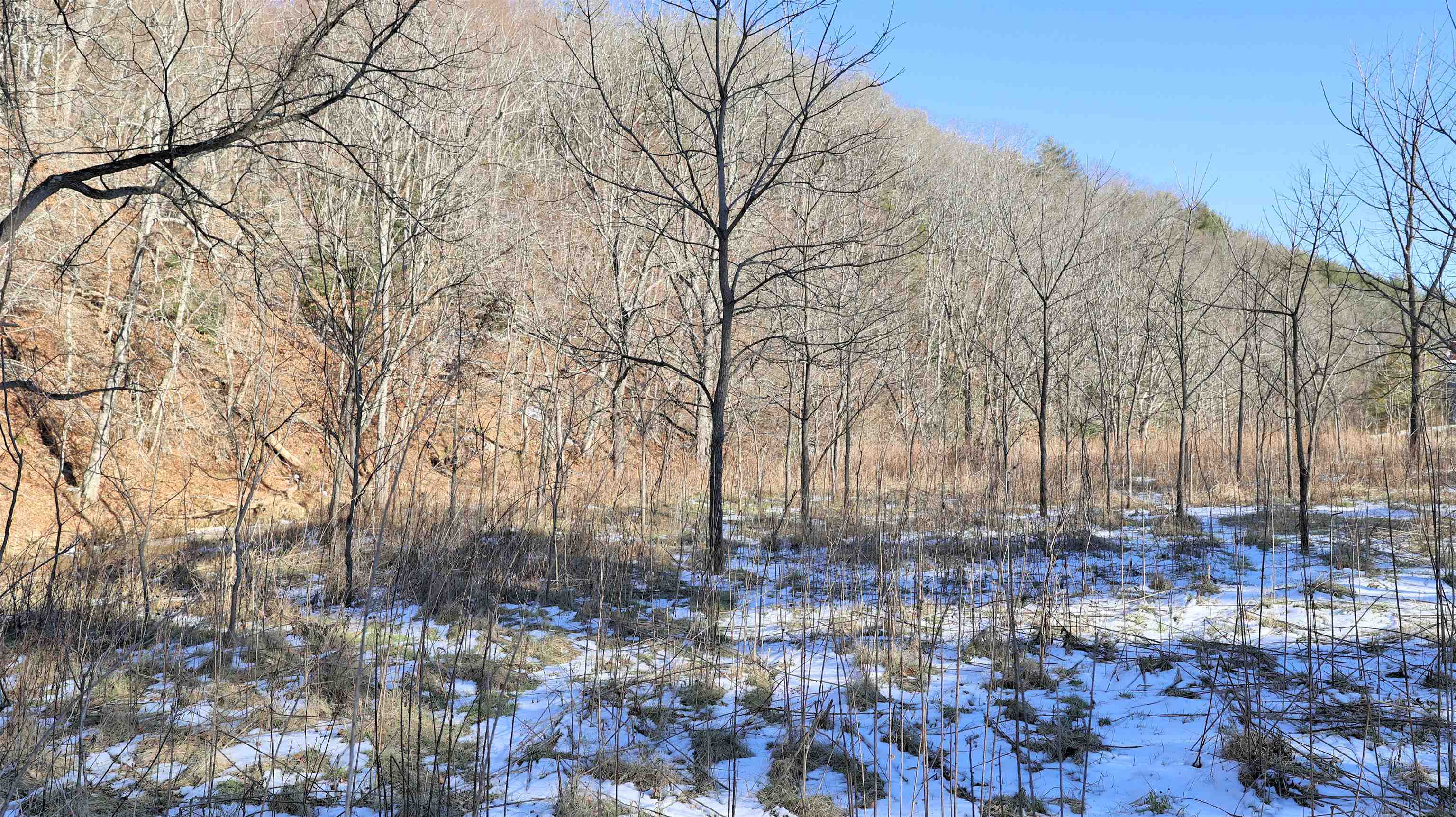 Tbd Webbs Mill Road North Floyd, VA 24091 - Photo 19 of 22 Gallery Image 19