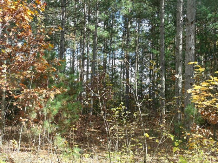South Brenlor Road Hesperia, MI 49421 - Photo 3 of 12 Additional Photo