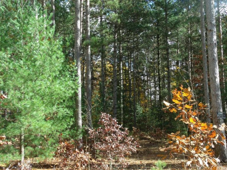 South Brenlor Road Hesperia, MI 49421 - Photo 4 of 12 Additional Photo