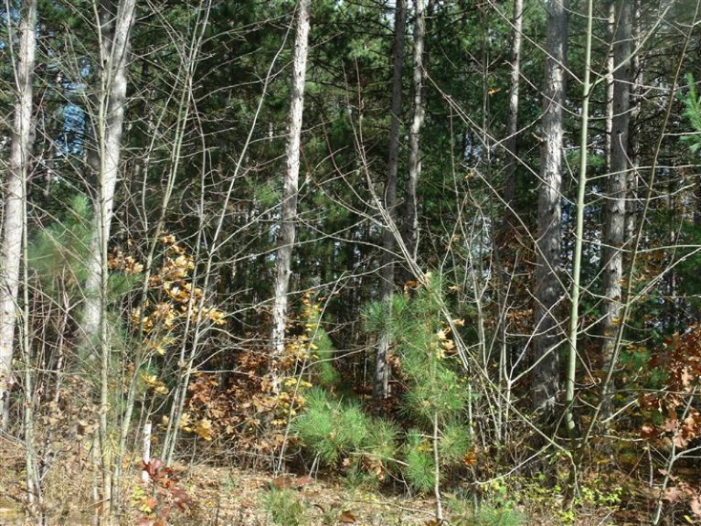 South Brenlor Road Hesperia, MI 49421 - Photo 5 of 12 Additional Photo