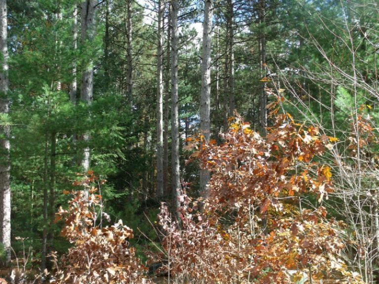 South Brenlor Road Hesperia, MI 49421 - Photo 6 of 12 Additional Photo