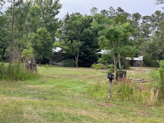 121 White Pine Georgetown, FL 32139 - Photo 11 of 42 a view of a garden