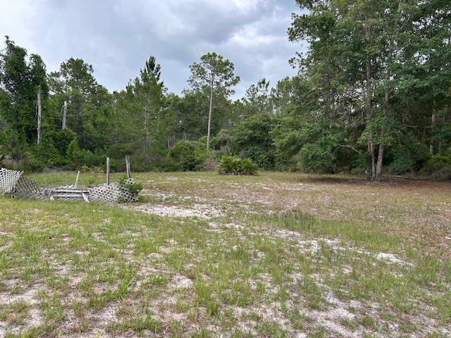 121 White Pine Georgetown, FL 32139 - Photo 14 of 42 a view of a field with a tree