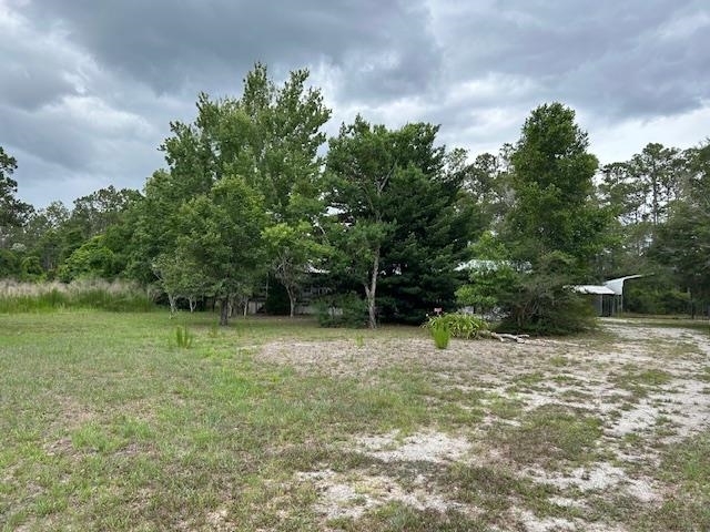 121 White Pine Georgetown, FL 32139 - Photo 16 of 42 a backyard of a house with lots of green space