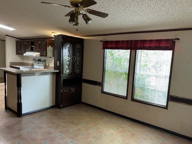 121 White Pine Georgetown, FL 32139 - Photo 27 of 42 a view of kitchen with stainless steel appliances granite countertop cabinets and window