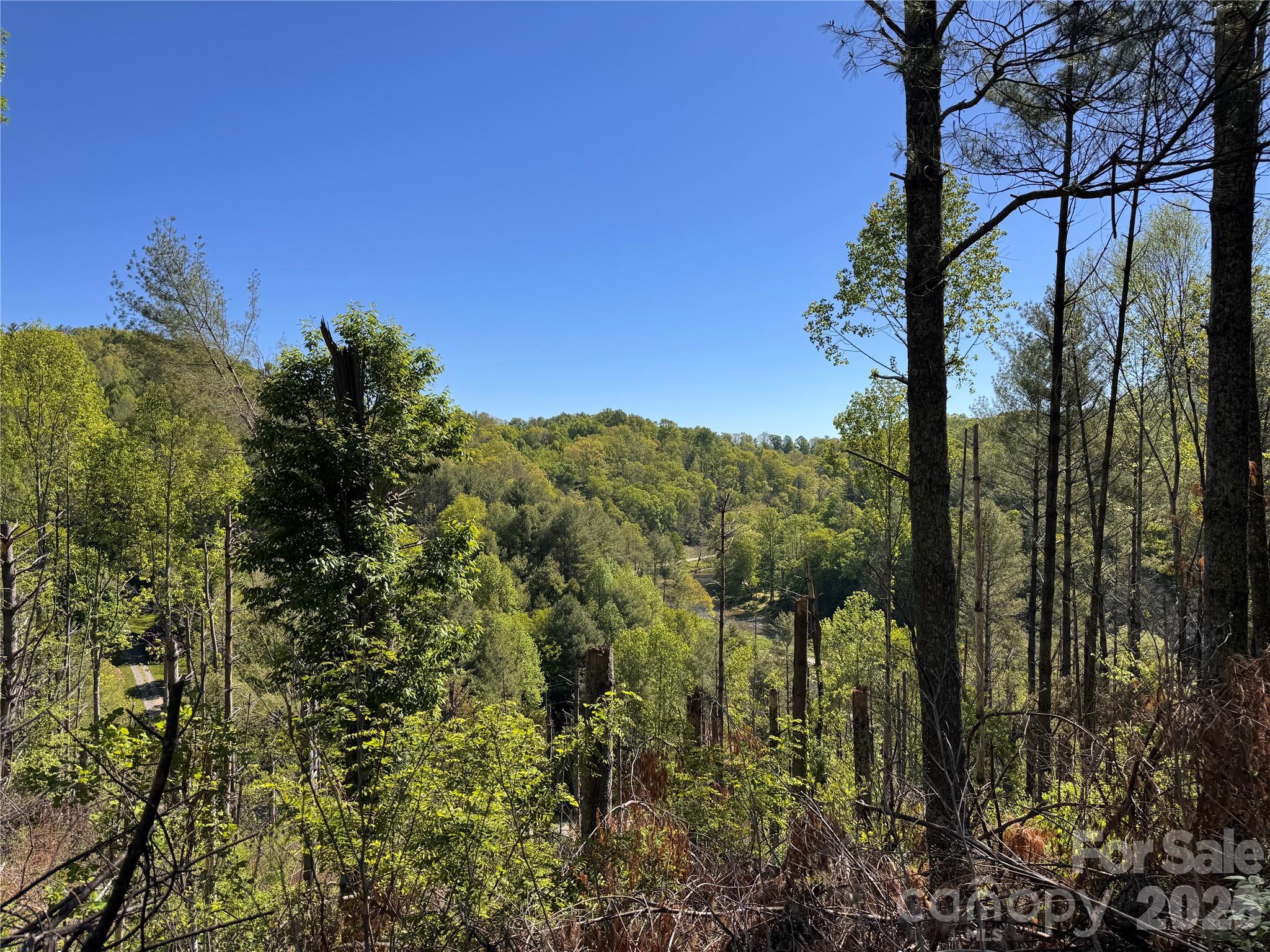0 River Rock Road Warrensville, NC 28693 - Photo 12 of 15