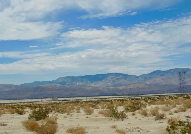 a view of a mountain in the distance in a field